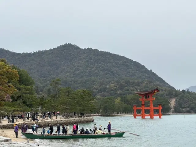 #厳島神社 #広島平和公園 #hiroshimapeacememorialpark #miyajima #rockingosaka #osakatravel #osaka #walkingtourjapan  #guidedtourjapan #kyoto #kyototravel #traveljapan #nara #naratravel #japan #dotombori #shitennojitemple#sumiyoshishrine #kuromonichiba #osakacastle #doguyasuji #ロッキング大阪 #ウォーキングツアー #大阪 #京都 #奈良